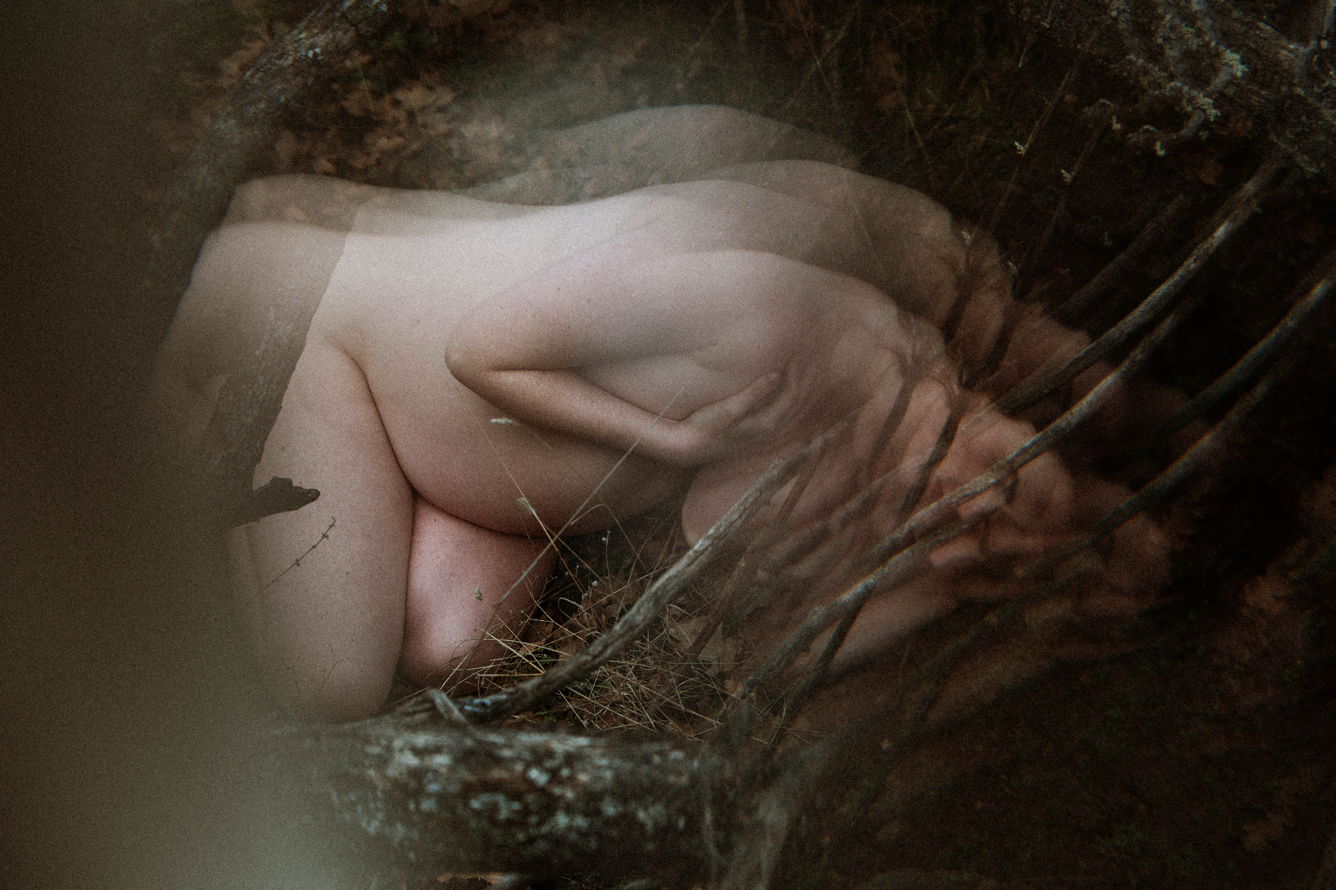 A woman curled peacefully in a nest of branches, her body cradling new life